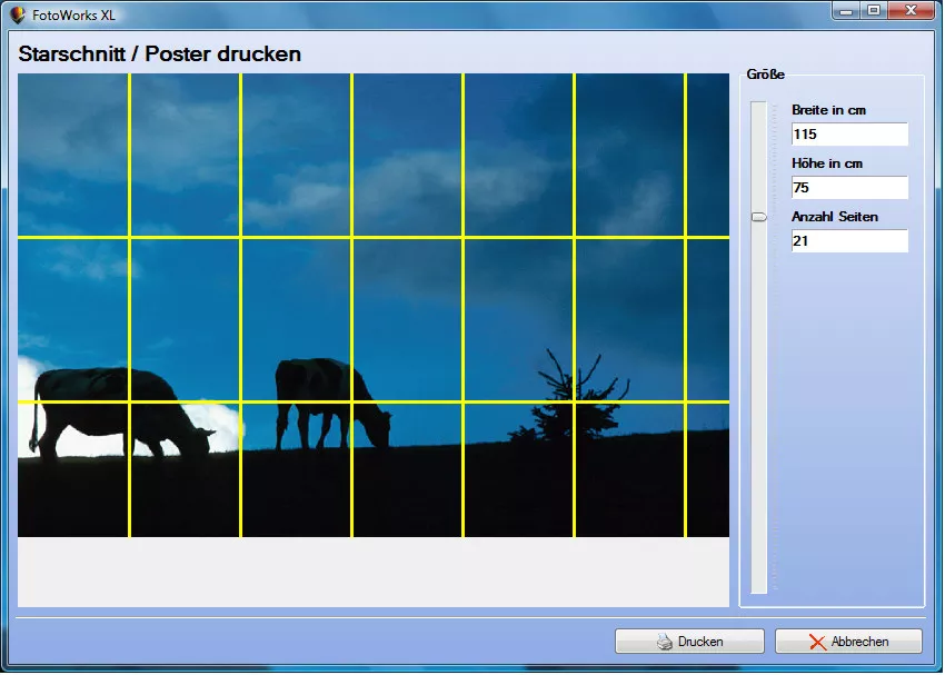 Fotoprogramm leicht und schnell